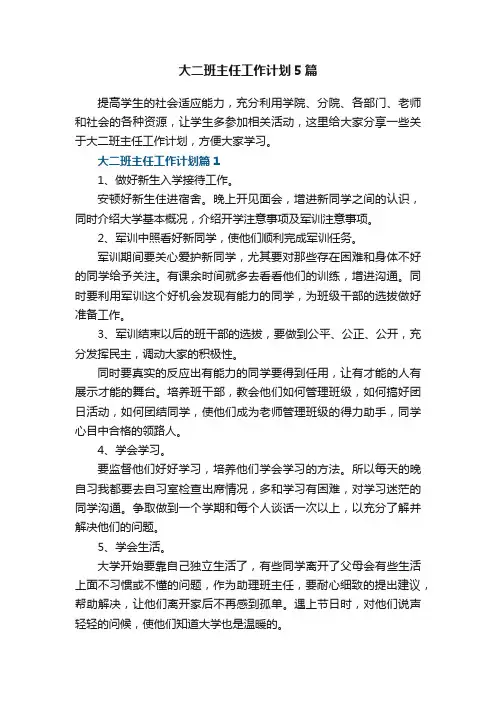 大二班主任工作计划5篇
