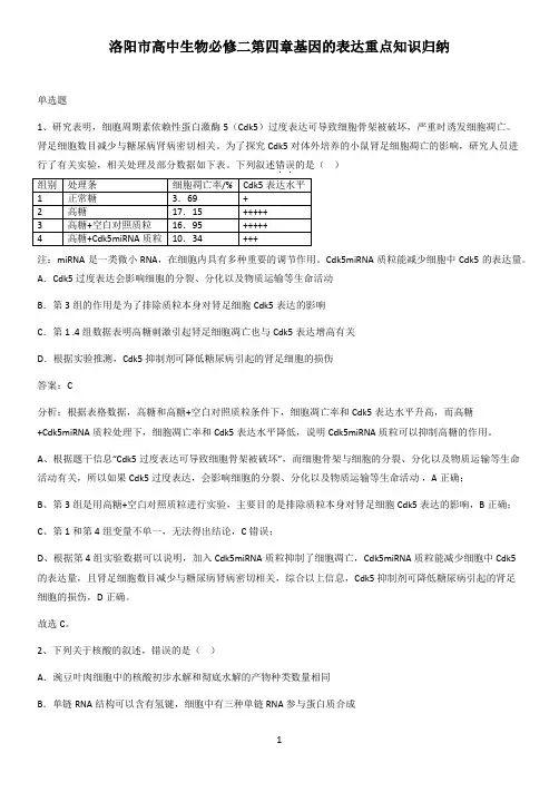 洛阳市高中生物必修二第四章基因的表达重点知识归纳