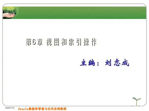 视图和索引操作课件讲义
