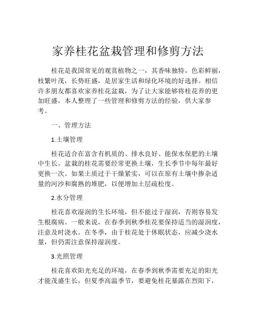 家养桂花盆栽管理和修剪方法