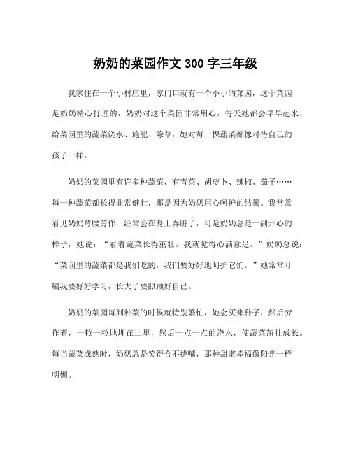 奶奶的菜园作文300字三年级