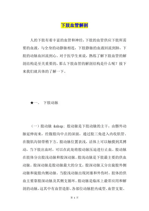 下肢血管解剖