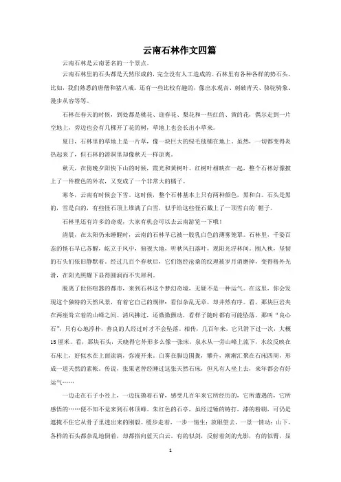 云南石林作文四篇范文精选