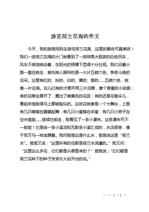 游览荷兰花海的作文