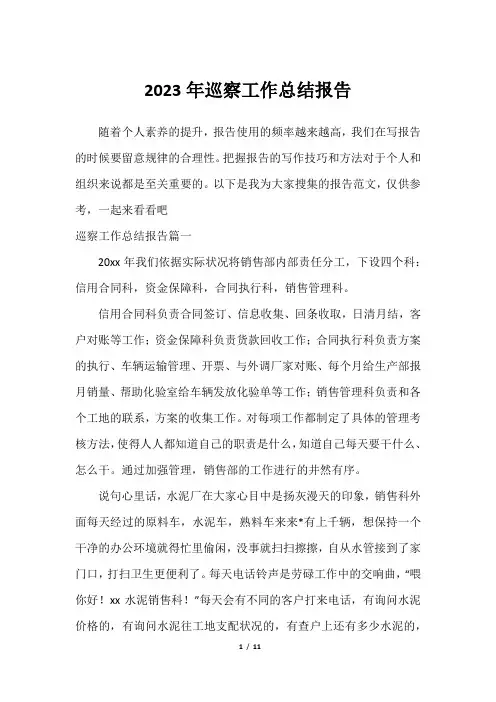 2023年巡察工作总结报告