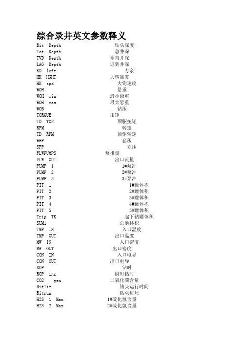 综合录井英文参数释义