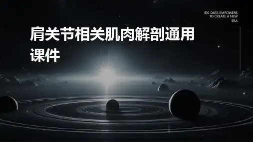 肩关节相关肌肉解剖通用课件