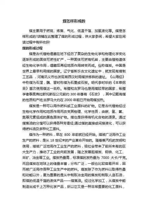 煤怎样形成的