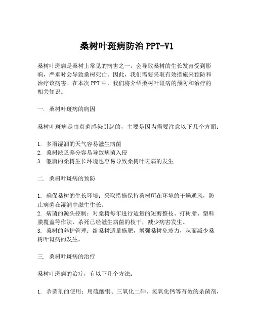 桑树叶斑病防治PPT-V1