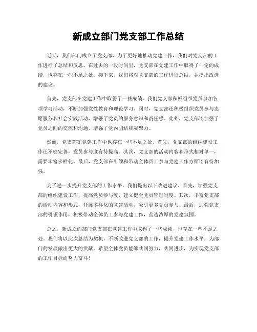 新成立部门党支部工作总结