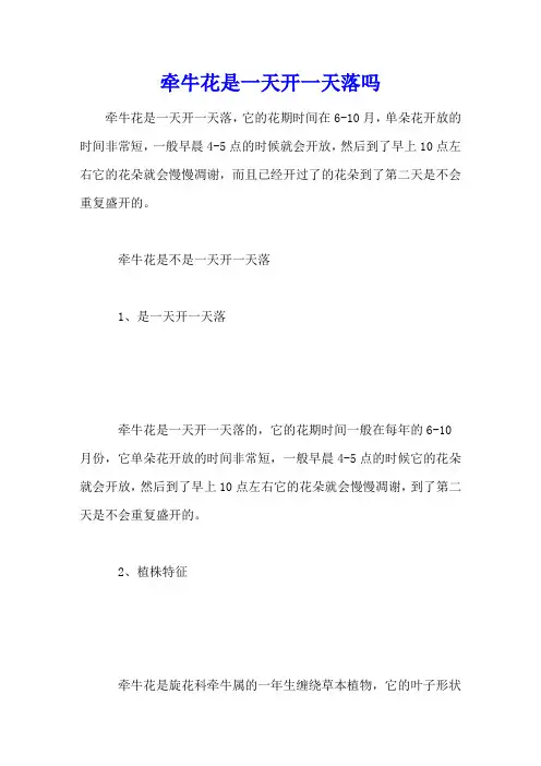 牵牛花是一天开一天落吗