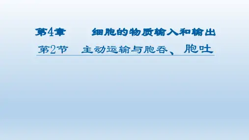 高中生物-主动运输与胞吞胞吐