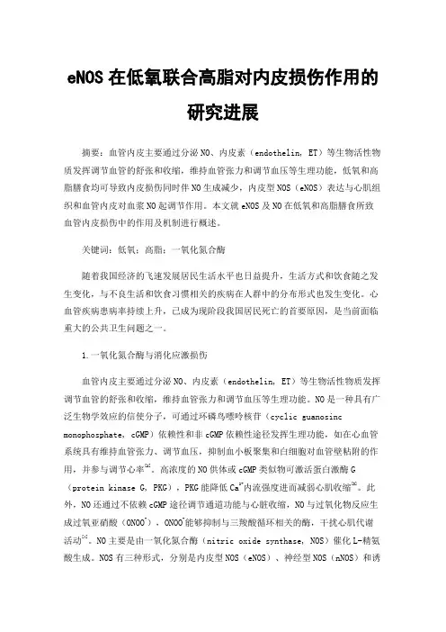 eNOS在低氧联合高脂对内皮损伤作用的研究进展