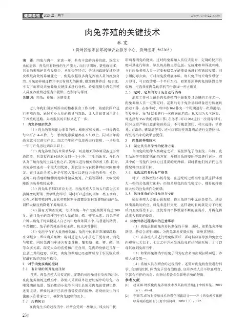 肉兔养殖的关键技术