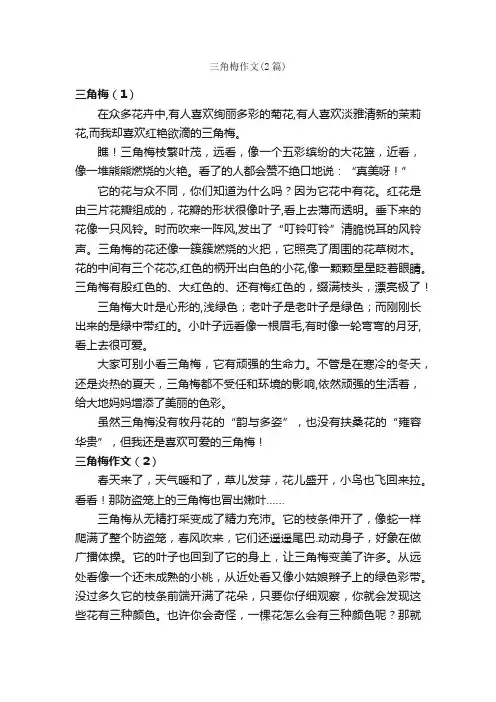 三角梅作文（2篇）_小学五年级作文_