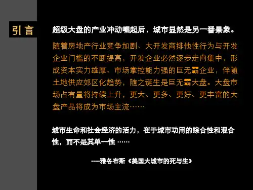 房地产大盘开发模式及策略