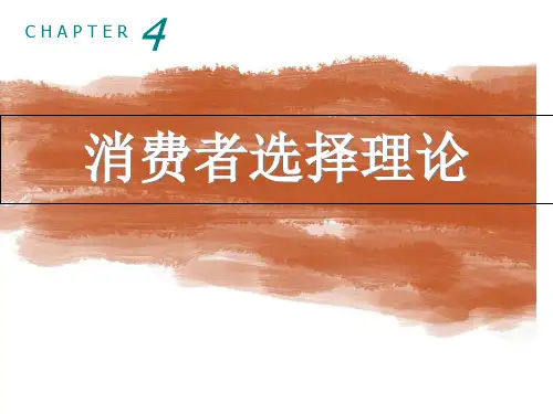 消费者选择理论