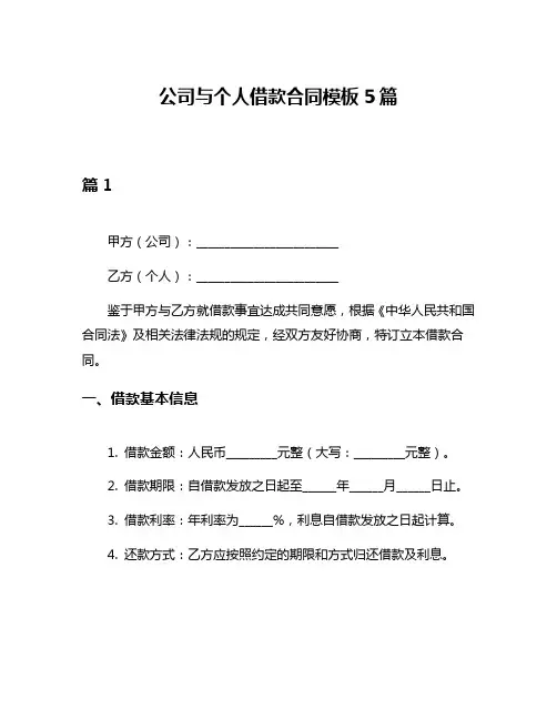 公司与个人借款合同模板5篇