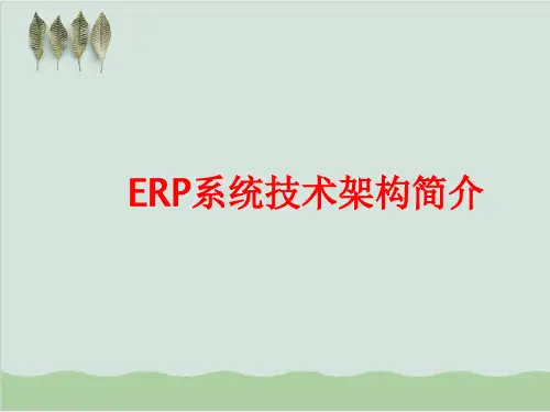ERP系统技术架构简介PPT课件( 14页)
