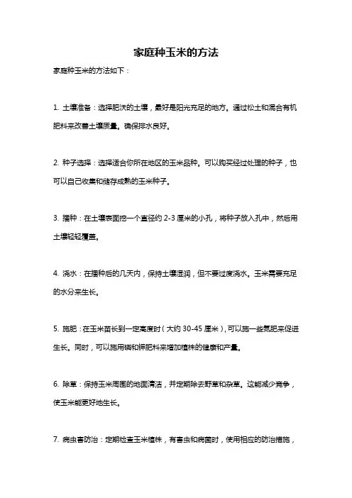 家庭种玉米的方法