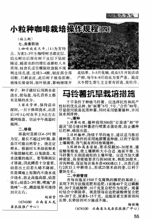小粒种咖啡栽培操作规程(四)