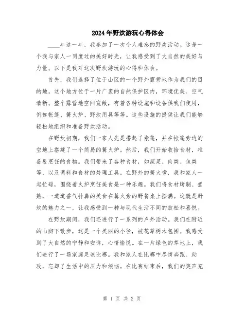 2024年野炊游玩心得体会