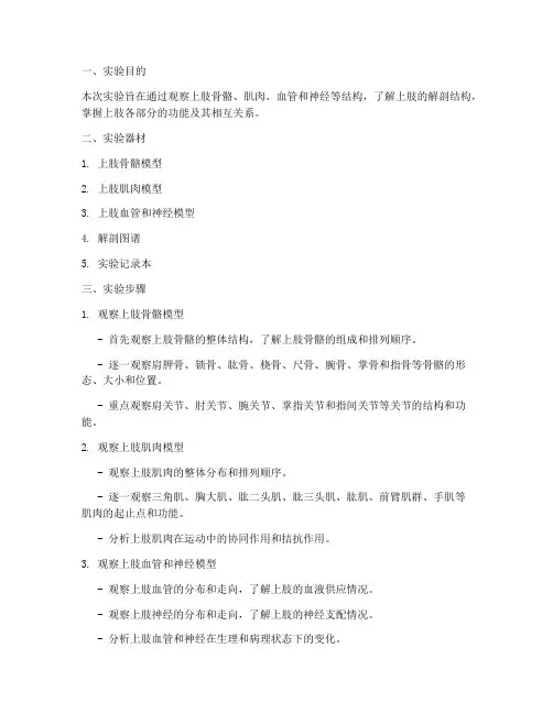 上肢的观察实验报告
