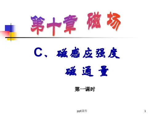 磁感应强度、磁通量  ppt课件