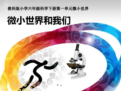 《微小世界和我们》微小世界PPT课件
