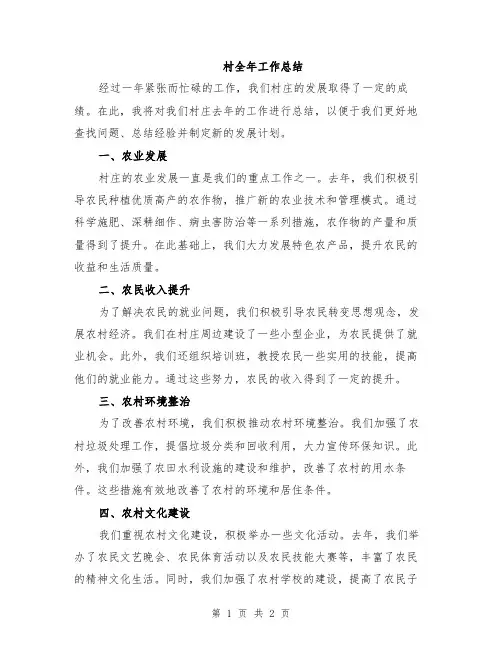 村全年工作总结