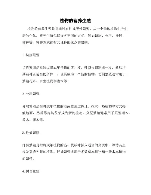 植物的营养生殖
