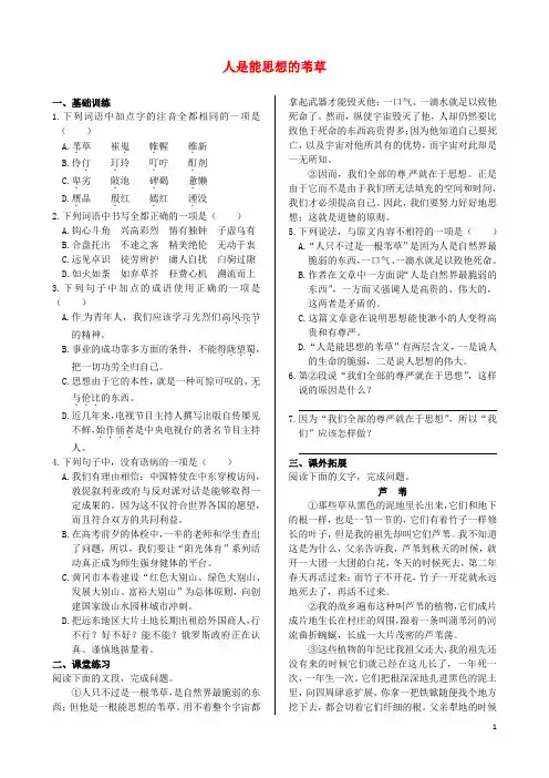 高中语文 第四专题 人是能思想的苇草同步练测 苏教版必修5