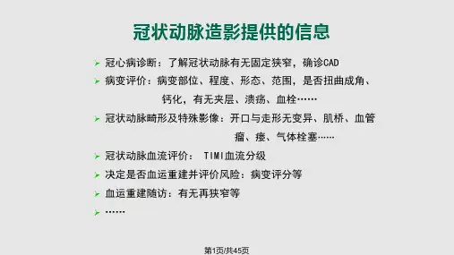 冠脉不同类型病变的判读PPT课件