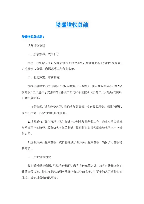堵漏增收总结