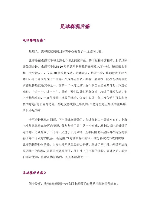 足球赛观后感_2