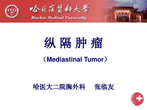 纵隔肿瘤课件