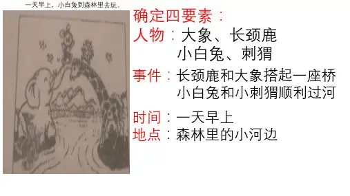看图写话指导小白兔过河