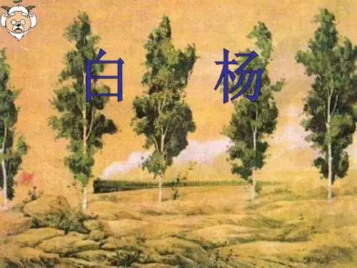人教版小学语文第十册说课《白杨》