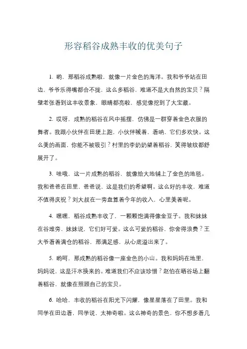 形容稻谷成熟丰收的优美句子