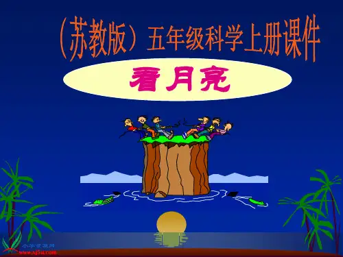 4.看月亮