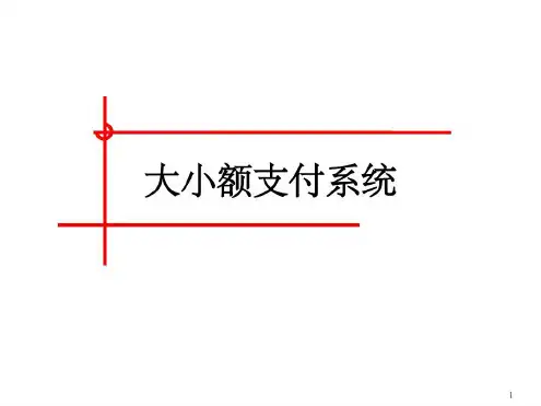 大小额支付系统简介-2022年学习资料