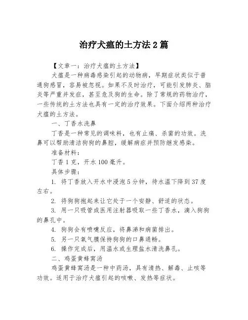 治疗犬瘟的土方法2篇