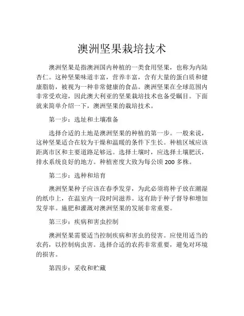 澳洲坚果栽培技术