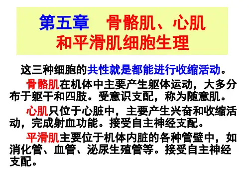第5篇-骨骼肌、心肌和平滑肌细胞生理