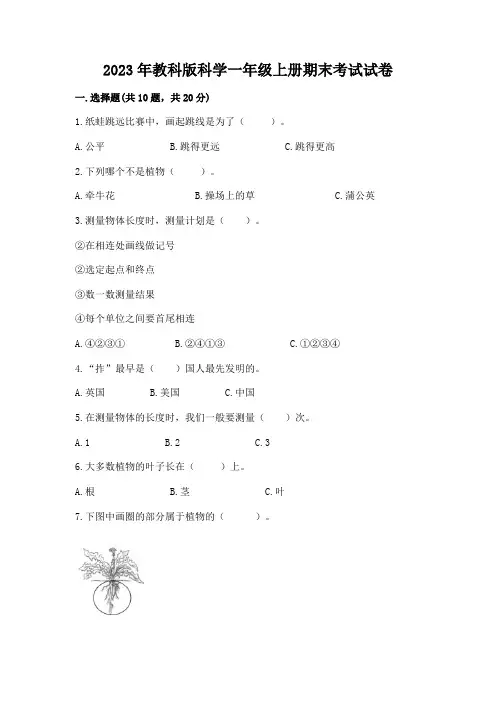 2023年教科版科学一年级上册期末考试试卷及参考答案(完整版)