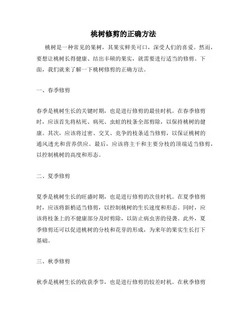 桃树修剪的正确方法