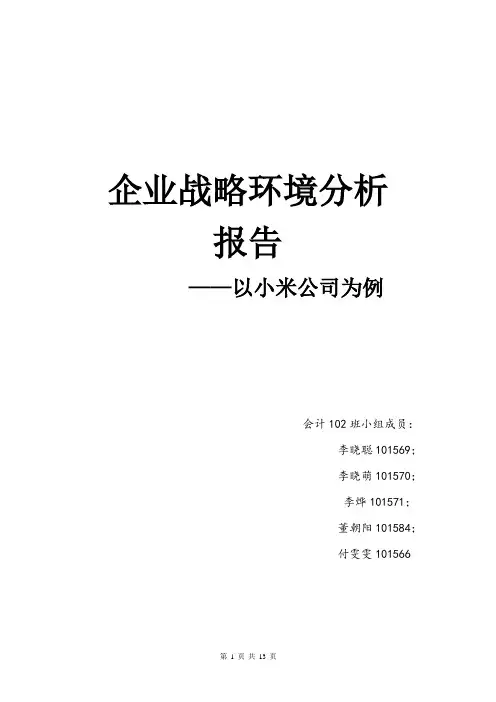 SWOT分析及市场环境分析