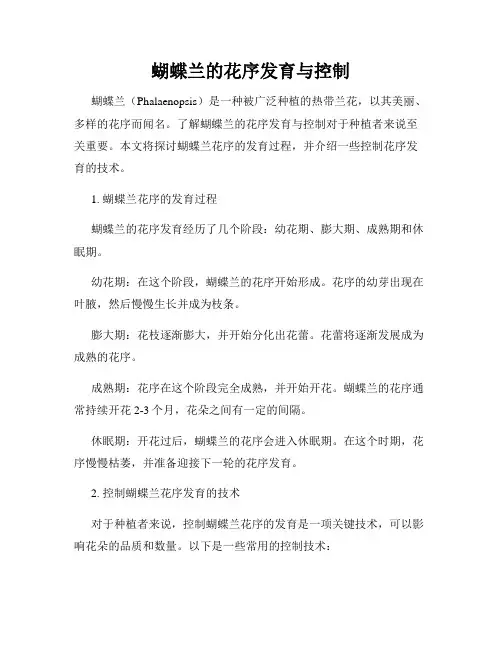 蝴蝶兰的花序发育与控制