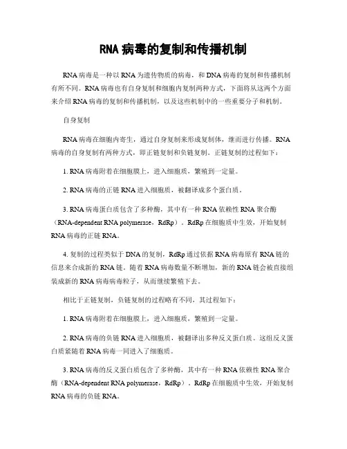 RNA病毒的复制和传播机制