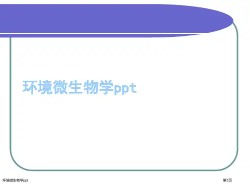 环境微生物学ppt